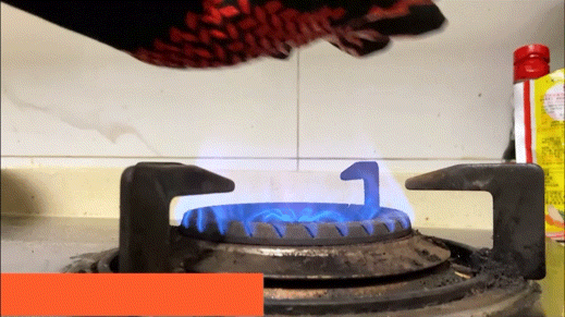 Fireproof Gloves™ 1472°F Heat Resistant